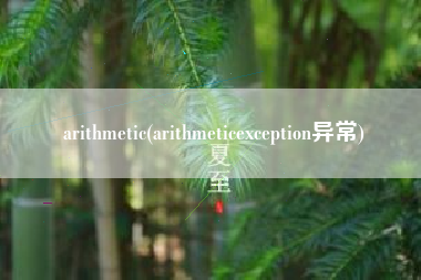 arithmetic(arithmeticexception异常) arithmetic(arithmeticexception异常)