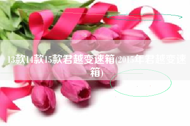 13款14款15款君越变速箱(2015年君越变速箱) 13款14款15款君越变速箱(2015年君越变速箱)