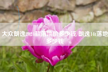 大众朗逸2024款落地价多少钱/朗逸14t落地多少钱 大众朗逸2024款落地价多少钱/朗逸14t落地多少钱