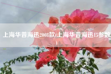 上海华普海迅2008款(上海华普海迅15参数)