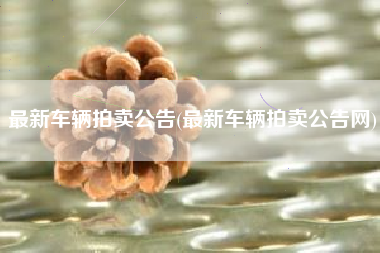 最新车辆拍卖公告(最新车辆拍卖公告网) 最新车辆拍卖公告(最新车辆拍卖公告网)