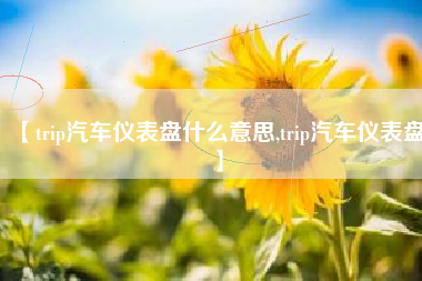 【trip汽车仪表盘什么意思,trip汽车仪表盘】