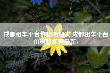 成都租车平台价格明细表(成都租车平台价格明细表最新)
