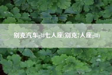 别克汽车gl8七人座(别克7人座gl8) 别克汽车gl8七人座(别克7人座gl8)