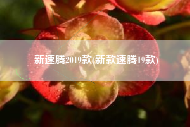 新速腾2019款(新款速腾19款) 新速腾2019款(新款速腾19款)