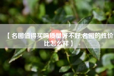 【名图值得买吗质量好不好,名图的性价比怎么样】