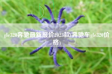 gle320奔驰最新报价2023款(奔驰车gle320价格) gle320奔驰最新报价2023款(奔驰车gle320价格)