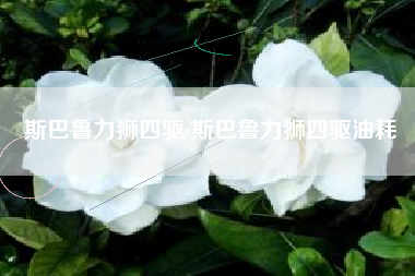 斯巴鲁力狮四驱/斯巴鲁力狮四驱油耗