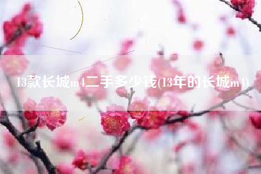 13款长城m4二手多少钱(13年的长城m4) 13款长城m4二手多少钱(13年的长城m4)