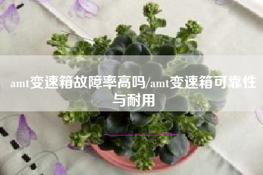 amt变速箱故障率高吗/amt变速箱可靠性与耐用