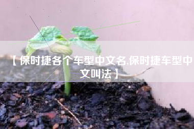 【保时捷各个车型中文名,保时捷车型中文叫法】