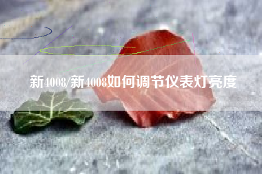 新4008/新4008如何调节仪表灯亮度 新4008/新4008如何调节仪表灯亮度