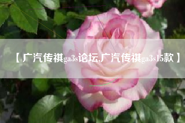【广汽传祺ga3s论坛,广汽传祺ga3s15款】