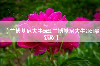 【兰博基尼大牛2022,兰博基尼大牛2024最新款】