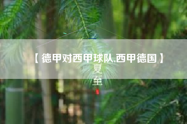 【德甲对西甲球队,西甲德国】