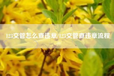 123交管怎么查违章/123交管查违章流程