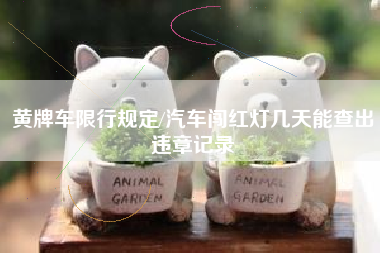 黄牌车限行规定/汽车闯红灯几天能查出违章记录