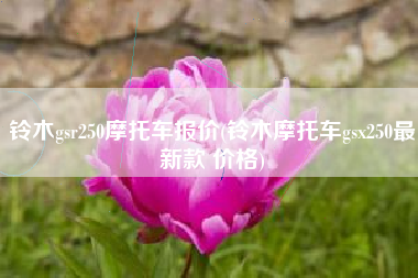 铃木gsr250摩托车报价(铃木摩托车gsx250最新款 价格)