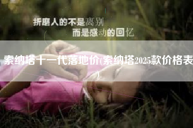 索纳塔十一代落地价(索纳塔2025款价格表)