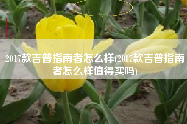 2017款吉普指南者怎么样(2017款吉普指南者怎么样值得买吗) 2017款吉普指南者怎么样(2017款吉普指南者怎么样值得买吗)