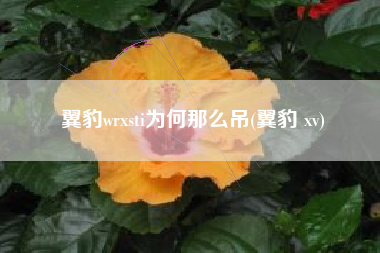 翼豹wrxsti为何那么吊(翼豹 xv) 翼豹wrxsti为何那么吊(翼豹 xv)