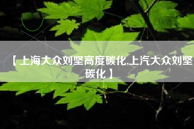 【上海大众刘坚高度碳化,上汽大众刘坚碳化】
