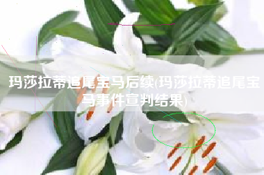 玛莎拉蒂追尾宝马后续(玛莎拉蒂追尾宝马事件宣判结果)