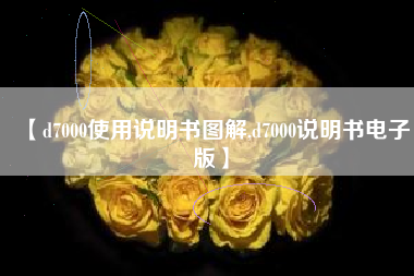 【d7000使用说明书图解,d7000说明书电子版】