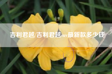 吉利君越/吉利君越suv最新款多少钱