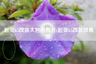 起亚k5改装大包围图片(起亚k5改装效果图)