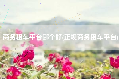 商务租车平台哪个好(正规商务租车平台)