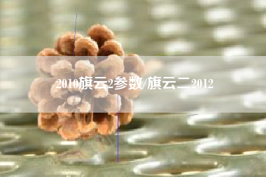 2010旗云2参数/旗云二2012
