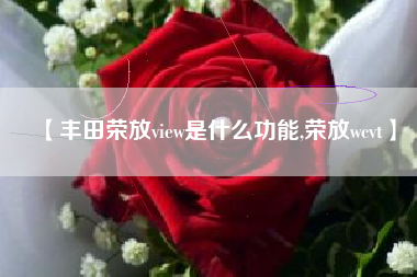 【丰田荣放view是什么功能,荣放wcvt】 【丰田荣放view是什么功能,荣放wcvt】