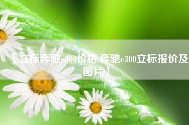 【立标奔驰e300价格,奔驰e300立标报价及图片】 【立标奔驰e300价格,奔驰e300立标报价及图片】
