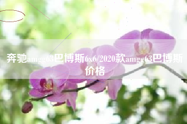 奔驰amgg63巴博斯6x6/2020款amgg63巴博斯价格