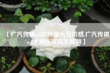【广汽传祺m8宗师图片及价格,广汽传祺m8大师版试驾车视频】
