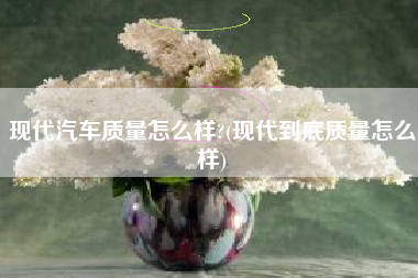 现代汽车质量怎么样?(现代到底质量怎么样)