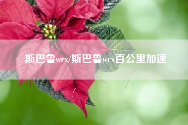 斯巴鲁wrx/斯巴鲁wrx百公里加速 斯巴鲁wrx/斯巴鲁wrx百公里加速