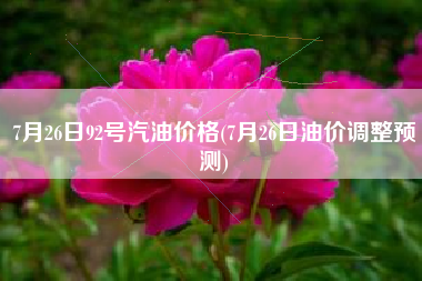 7月26日92号汽油价格(7月26日油价调整预测)