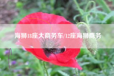 海狮18座大商务车/12座海狮商务