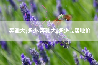 奔驰大g多少/奔驰大g多少钱落地价