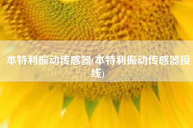 本特利振动传感器(本特利振动传感器接线)