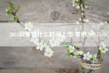 2023款塞纳什么时间上市/塞纳202135