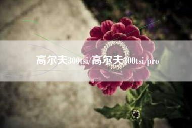 高尔夫300tsi/高尔夫300tsi pro