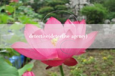 detective(detective agency) detective(detective agency)