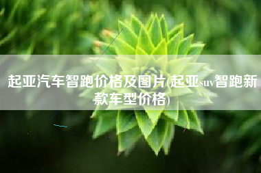 起亚汽车智跑价格及图片(起亚suv智跑新款车型价格) 起亚汽车智跑价格及图片(起亚suv智跑新款车型价格)