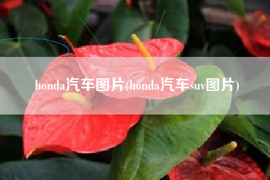 honda汽车图片(honda汽车suv图片)
