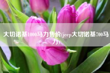 大切诺基1000马力售价(jeep大切诺基700马力)