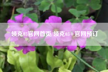 领克03官网首页/领克03+官网预订