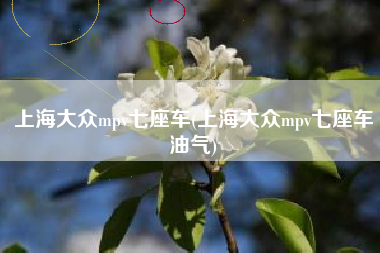 上海大众mpv七座车(上海大众mpv七座车油气)
